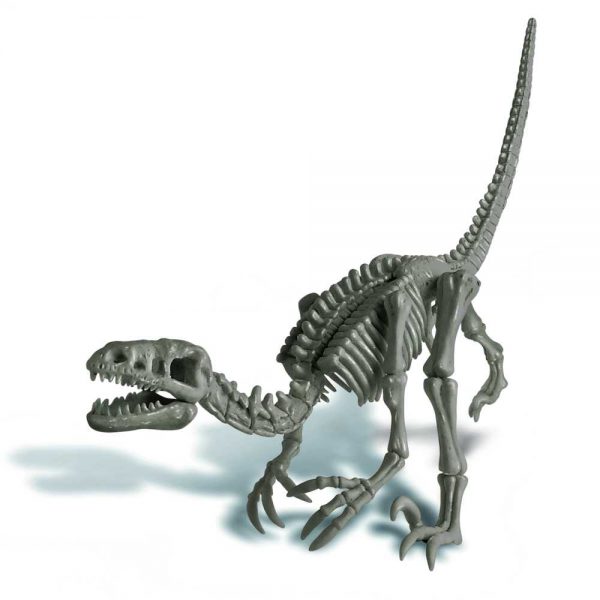 kit de escavacao velociraptor4